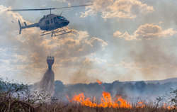 درخواست هلی‌کوپتر اطفاء حریق برای مهار کردن آتش سوزی تالاب کانی برازان ‌
